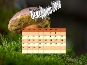 Ημερολόγιο 2018 - 16o ΔΣ Περιστερίου - Ε2