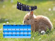 Ημερολόγιο 2018 - 9o ΔΣ Περιστερίου - Ε2